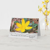 Carte Sympathie Crocus jaune (Fleur jaune)