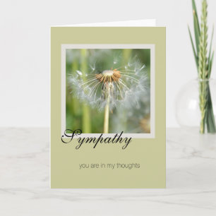 Carte Sympathie Dandelion