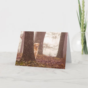 Carte Sympathie d'animal familier