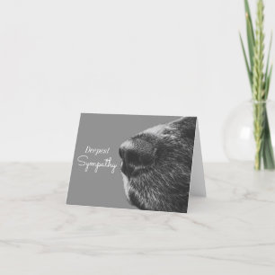 Carte Sympathie de chien animal Condolence de chien