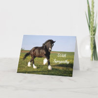 Sympathie de Clydesdale