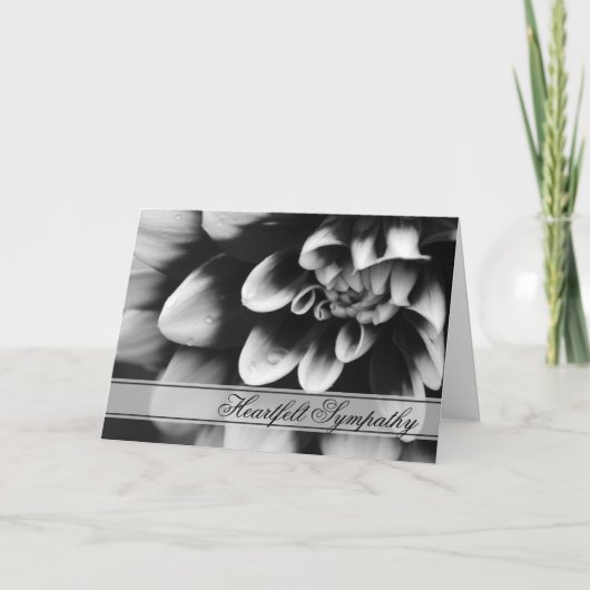 Carte Sympathie de Dahlia noir et blanc (Devant)