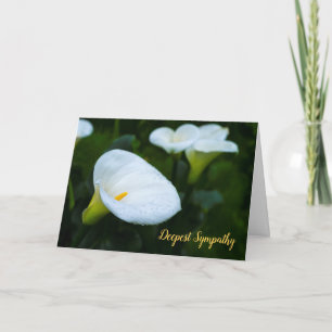 Carte Sympathie de goutte de pluie de zantedeschia