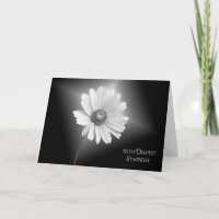 Sympathie de la marguerite blanche