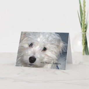 Carte Sympathie de l'animal - perte d'un chien