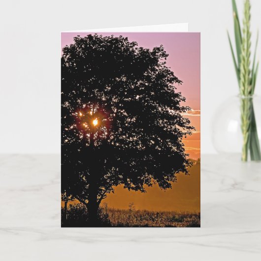 Carte Sympathie de l'arbre du coucher de soleil (Devant)
