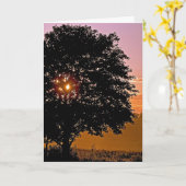 Carte Sympathie de l'arbre du coucher de soleil (Fleur jaune)