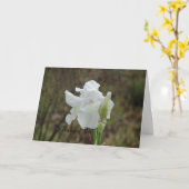 Carte Sympathie de l'Iran blanc (Fleur jaune)