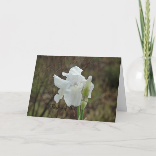 Carte Sympathie de l'Iran blanc (Devant)