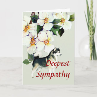 Carte Sympathie de malamut en Alaska ou perte de familie