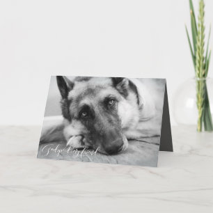 Carte Sympathie de perte d'animal familier de berger