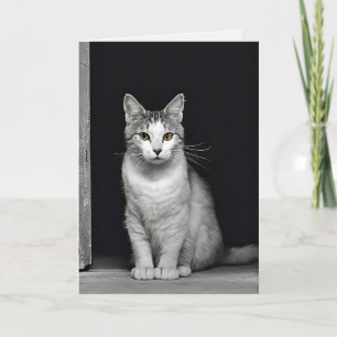 Carte Sympathie de perte de animal de compagnie Kitty