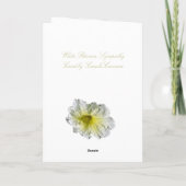 Carte Sympathie de Petunia blanc (Dos)