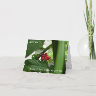 Carte Sympathie de toutes les occasions