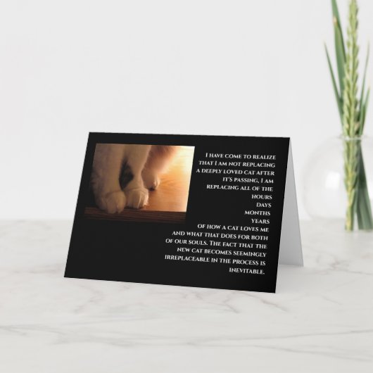 Carte sympathie des chats (Devant)