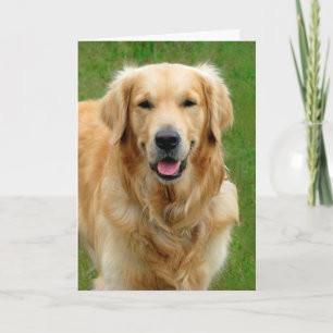 Carte Sympathie des Golden Retriever