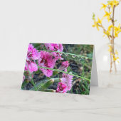 Carte Sympathie Dianthus Rose Avec Droplets D'Eau (Fleur jaune)