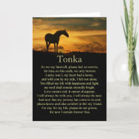 Sympathie du cheval Perte du cheval Nom personnali