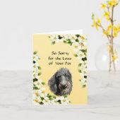 Carte Sympathie écossaise de limier et de cornouiller (Fleur jaune)