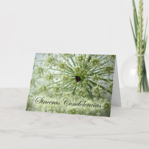 Carte Sympathie en espagnol, dentelle de la reine Anne, 