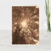 Carte Sympathie et espoir (Devant)