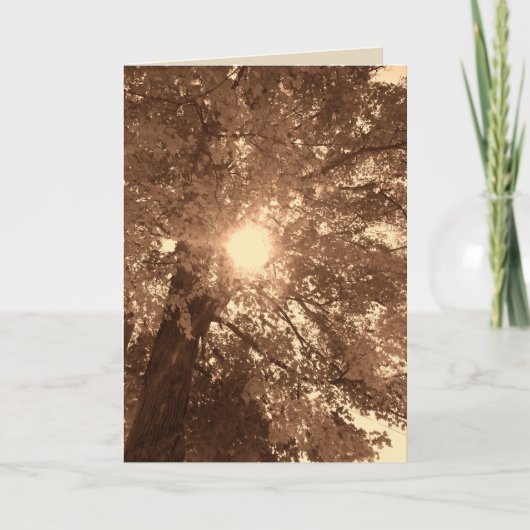 Carte Sympathie et espoir (Devant)