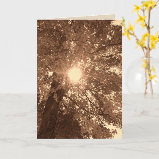 Carte Sympathie et espoir (Fleur jaune)