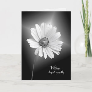 Carte sympathie fleur cosmos blanc