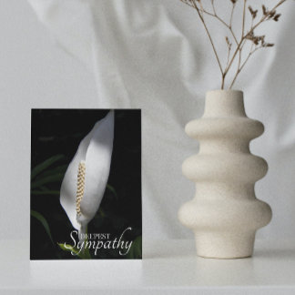 Carte Sympathie florale blanche Lily de paix
