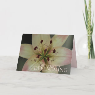 Carte Sympathie hollandaise Tigre rose Lily