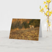 Carte Sympathie légère d'or (Fleur jaune)