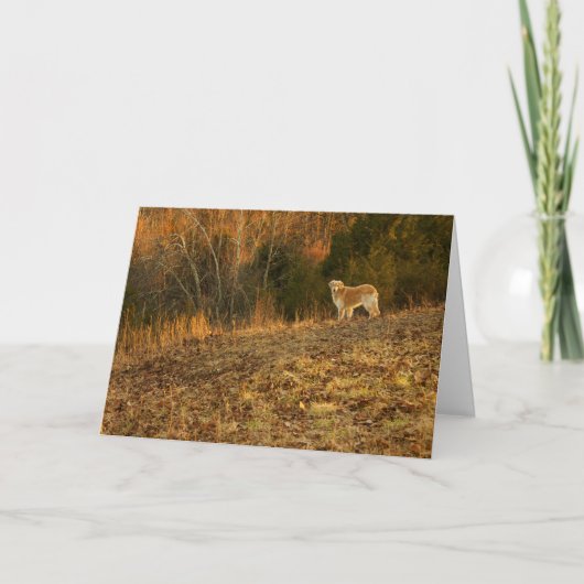 Carte Sympathie légère d'or (Devant)