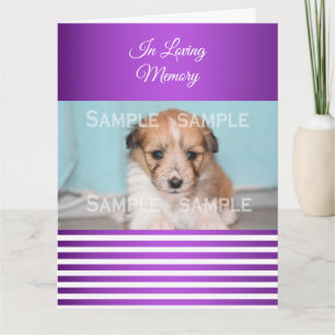 Carte Sympathie perte animal violet blanc   Photo