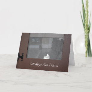 Carte Sympathie : Perte de chat, ami, perte d'animal
