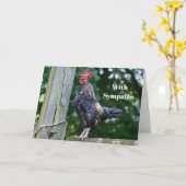 Carte Sympathie photo de Croisière de coq noir (Fleur jaune)