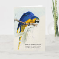 Sympathie pour animal de compagnie bleu et or Maca
