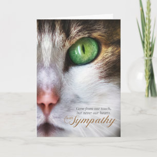 Carte Sympathie pour animal de compagnie de chat Tabulat