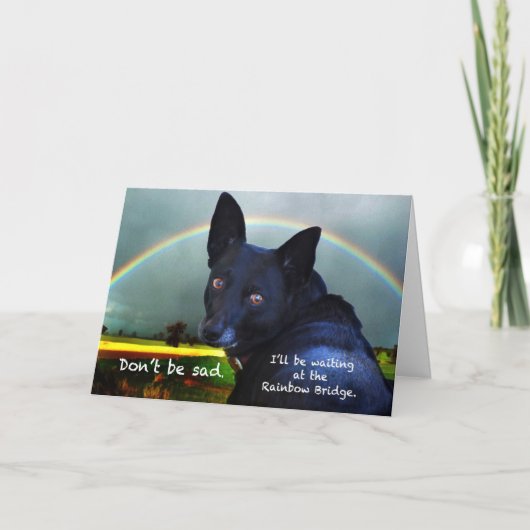 Carte Sympathie pour la perte de l'animal (Devant)