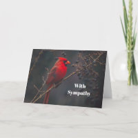 Sympathie pour la photo du cardinal rouge de la fa