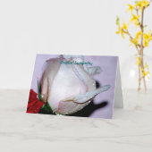 Carte Sympathie profonde (Fleur jaune)
