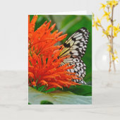 Carte Sympathie profonde avec papillon (Fleur jaune)