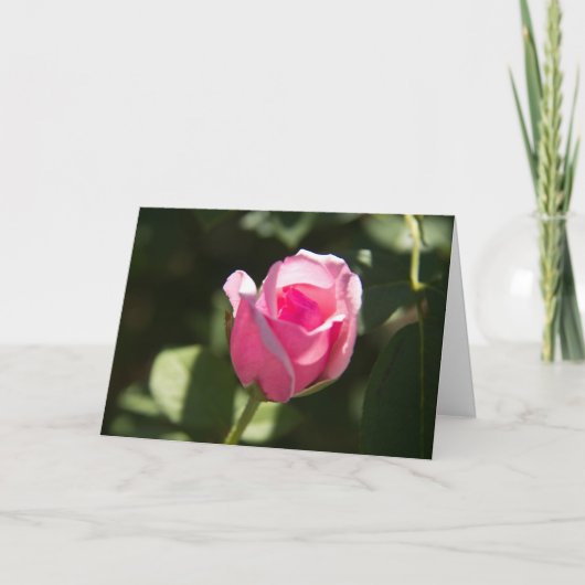 Carte Sympathie rose Bud (Devant)