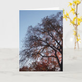 Carte Sympathie Silhouette Arbres (Fleur jaune)