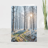 Sympathie Soleil matinal dans la forêt gelée