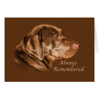 Cartes de vœux Perte D Un Chien personnalisées | Zazzle.be Cartes de vœux Perte D Un Chien personnalisées | Zazzle.be