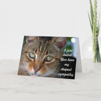 Carte Sympathie tardive de chat