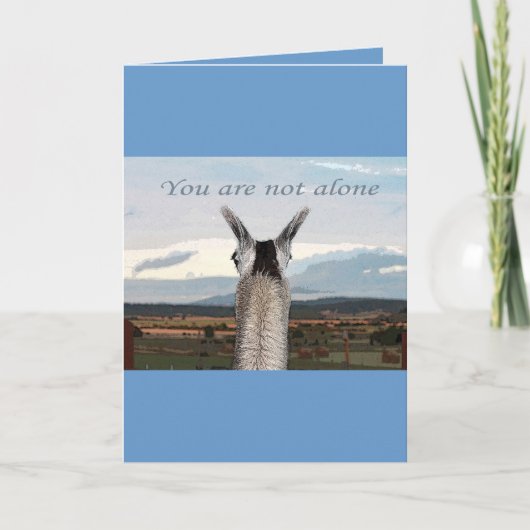 Carte Sympathie : Vous n'êtes pas seule Llama (Devant)