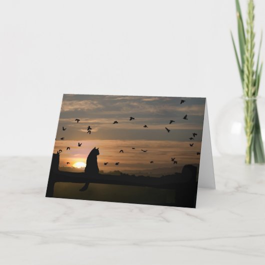 Carte Sympathique Chat/Kitty (Devant)