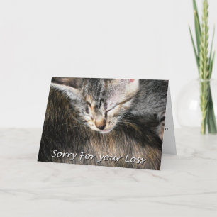 Carte Sympathique pour chat animal de compagnie, P