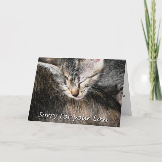 Carte Sympathique pour chat animal de compagnie, P (Devant)